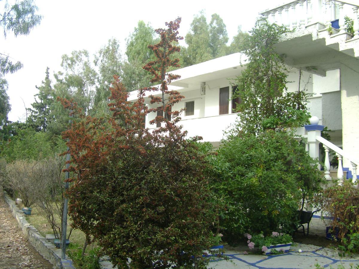Thronion Villa Zoi المظهر الخارجي الصورة