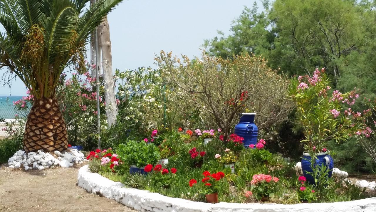 Thronion Villa Zoi المظهر الخارجي الصورة